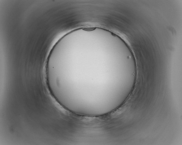 X0000112051056200908250954