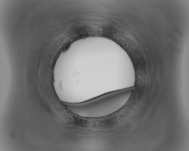 X0000112051057200908250953