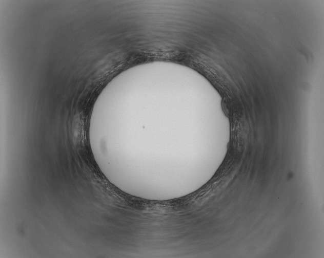 X0000112051058200908250953