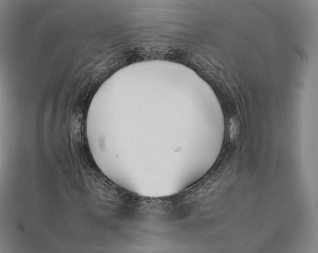 X0000112051059200908250953