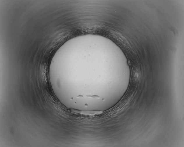 X0000112051060200908250953