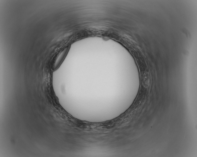 X0000112051061200908250953