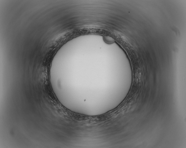 X0000112051062200908250953