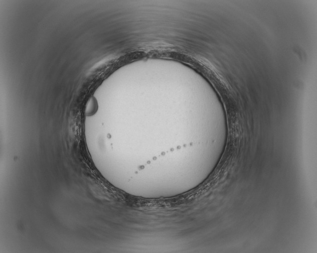 X0000112051063200908250953