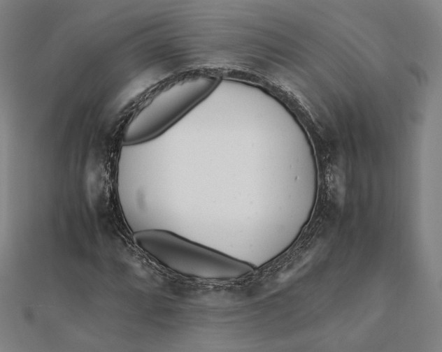 X0000112051064200908250953