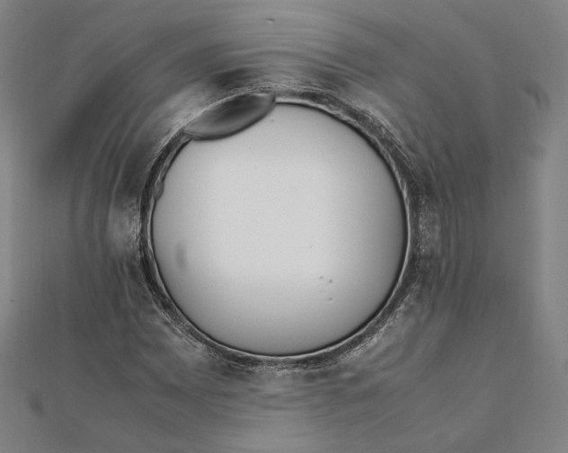 X0000112051065200908250953