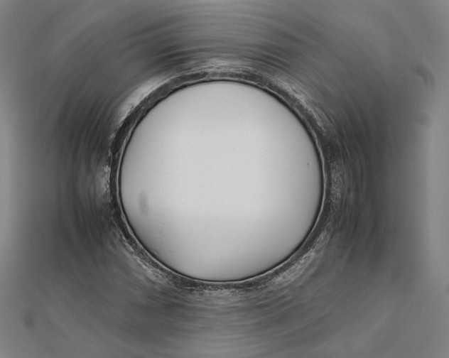 X0000112051066200908250953