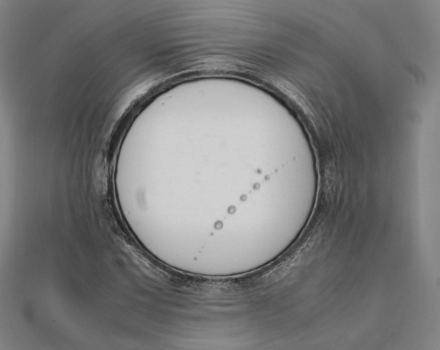 X0000112051067200908250953