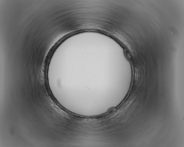 X0000112051068200908250953