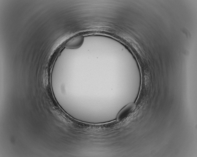 X0000112051069200908250953