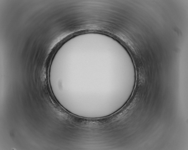 X0000112051070200908250953