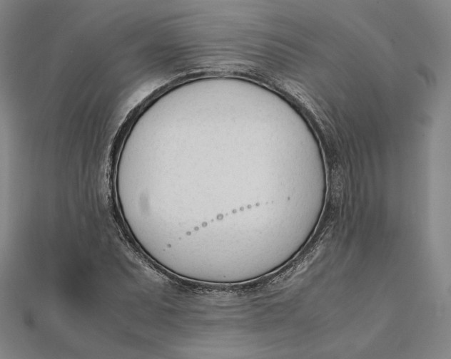 X0000112051071200908250953