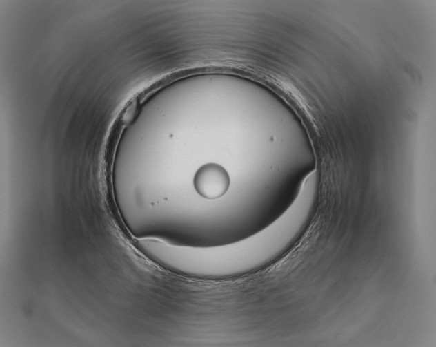 X0000112051072200908250953