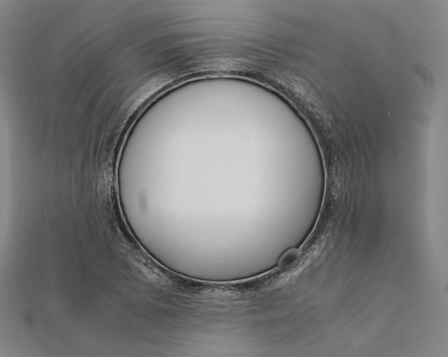 X0000112051073200908250953