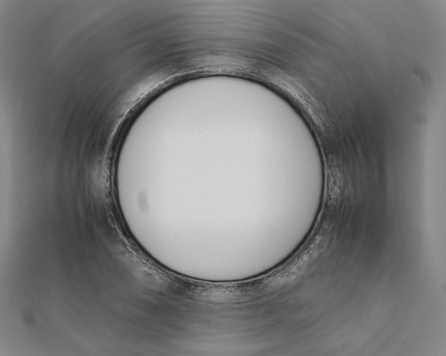 X0000112051074200908250953