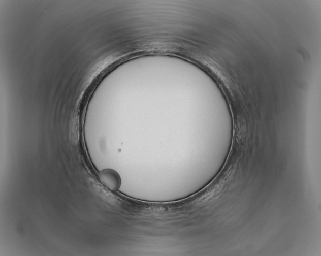 X0000112051075200908250953