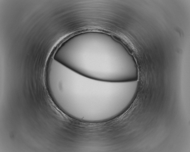 X0000112051076200908250953