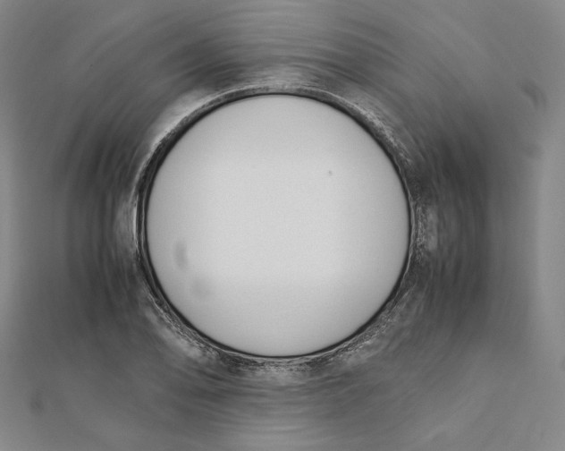 X0000112051078200908250953