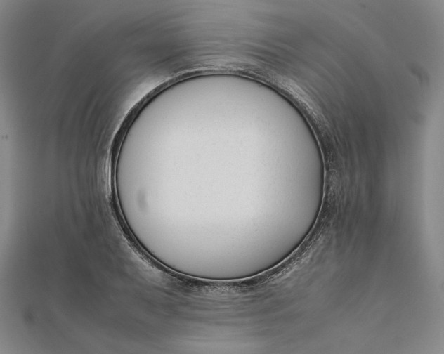 X0000112051079200908250953