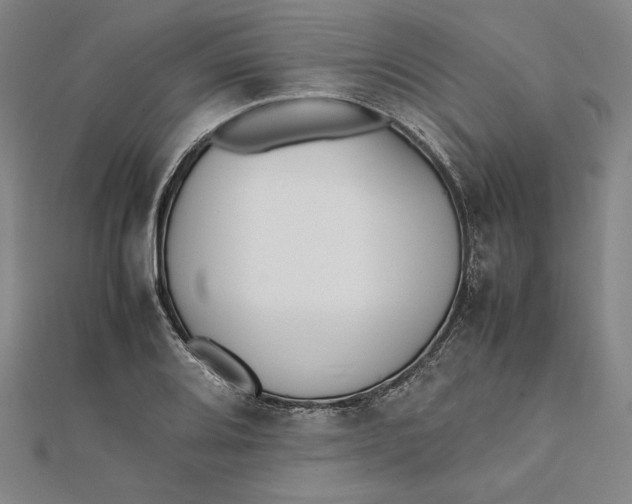 X0000112051080200908250953