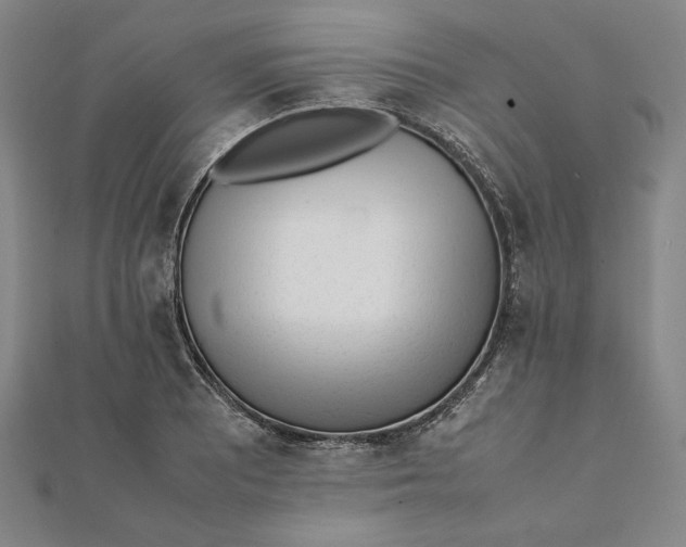 X0000112051081200908250953