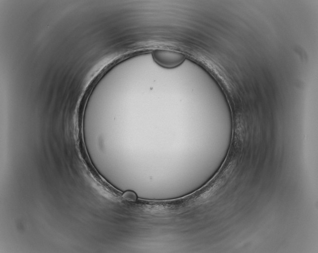 X0000112051082200908250953