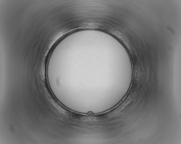 X0000112051083200908250953