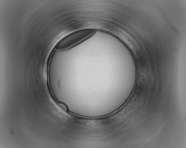 X0000112051084200908250953