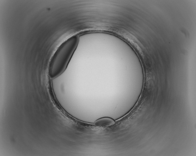 X0000112051085200908250953