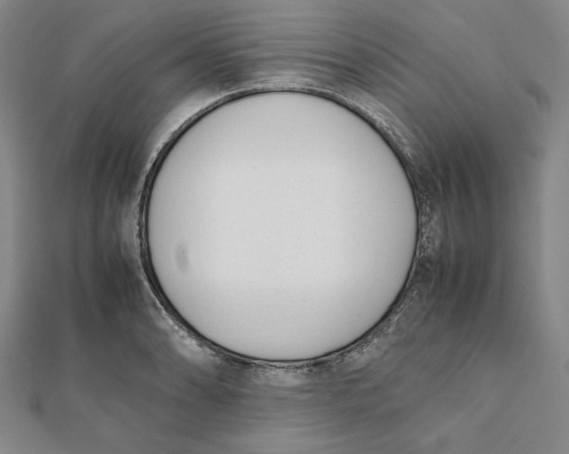 X0000112051086200908250953