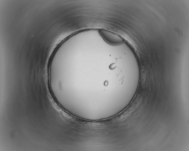 X0000112051088200908250953