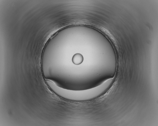 X0000112051089200908250953