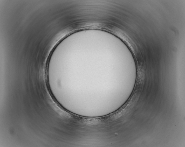 X0000112051090200908250953