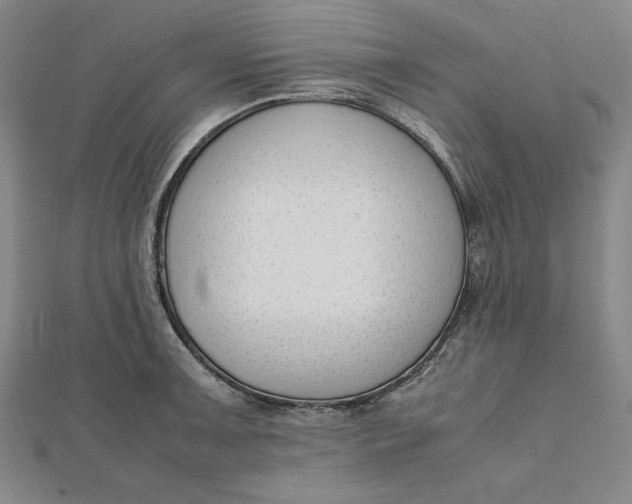 X0000112051091200908250953