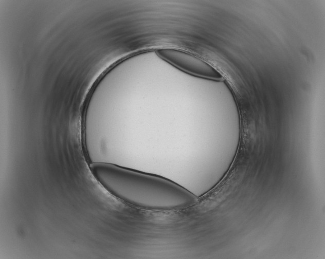 X0000112051092200908250953