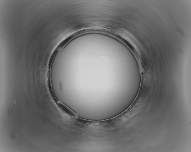 X0000112051093200908250953