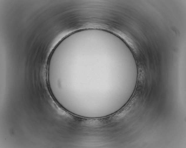 X0000112051094200908250953