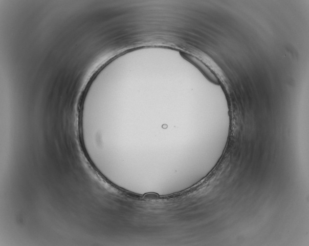 X0000112051096200908250953