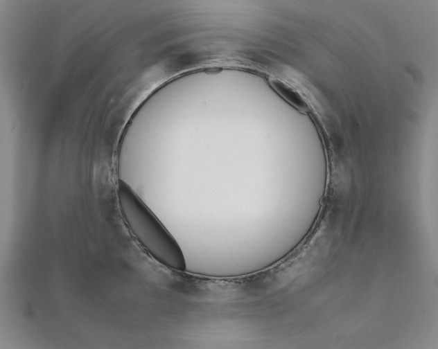 X0000112051097200908250953