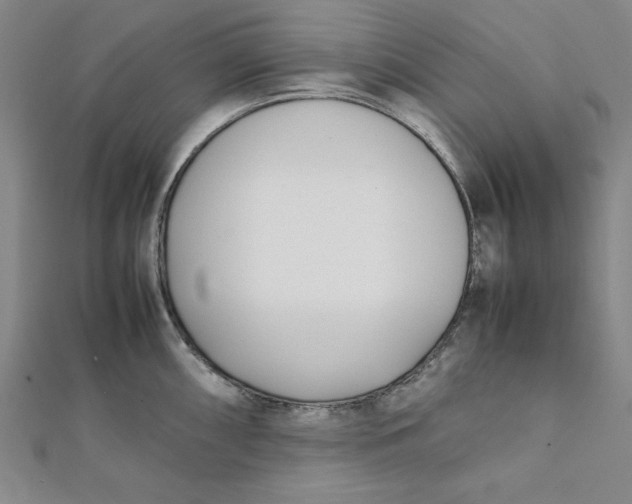 X0000112051098200908250953