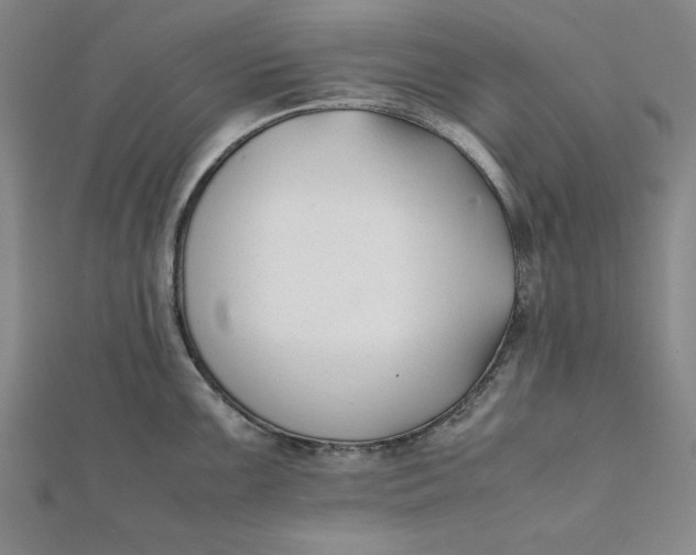 X0000112051099200908250953