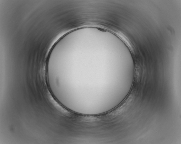 X0000112051100200908250953