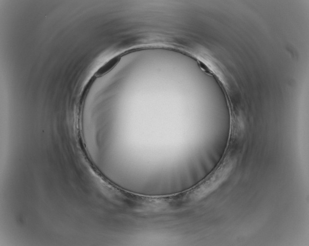 X0000112051101200908250953