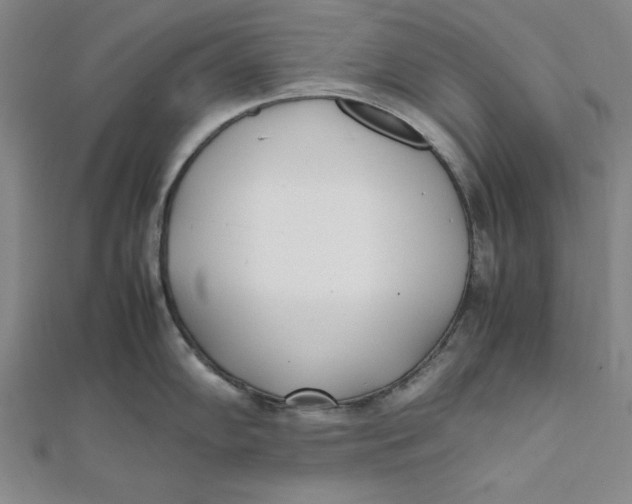 X0000112051102200908250953