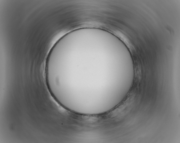 X0000112051103200908250953