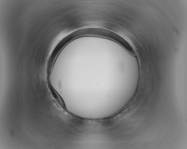 X0000112051104200908250952