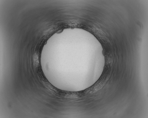 X0000112051106200908250952