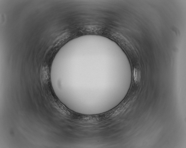 X0000112051107200908250952