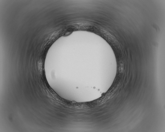 X0000112051108200908250952