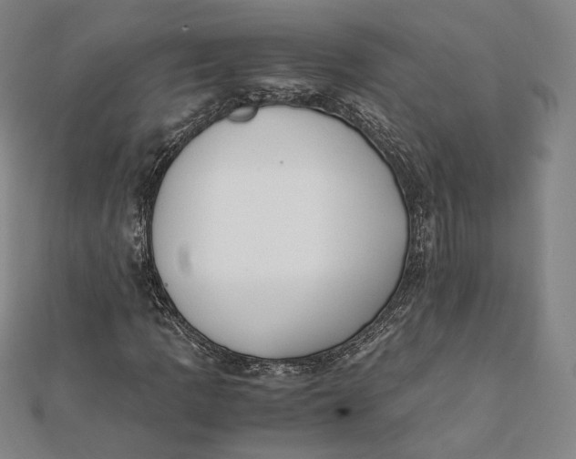 X0000112051109200908250952